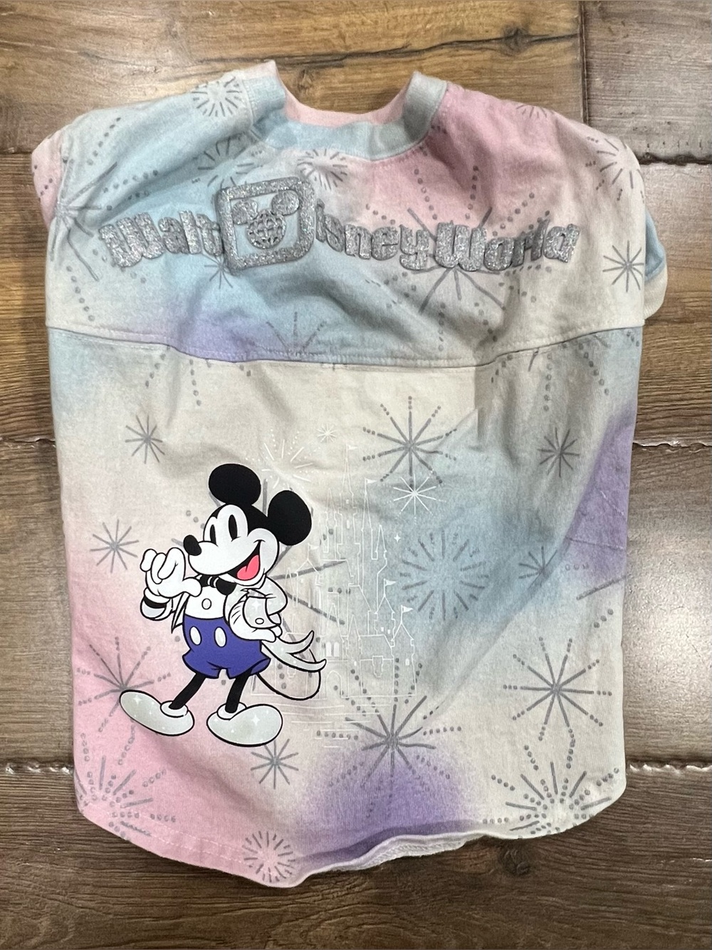 Walt Disney World 100 Celebration Dog Spirit Jersey size L